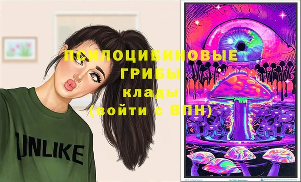 бошки Бородино
