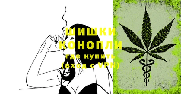 бошки Бородино
