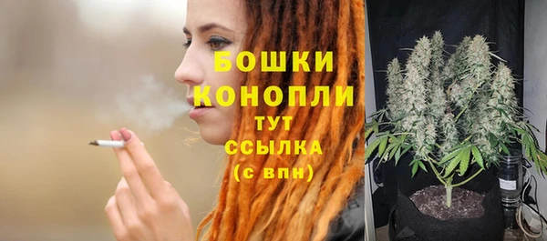 бошки Бородино