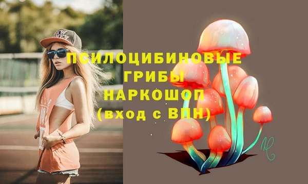 бошки Бородино